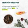 image:imageATTITUDE Liquid Hand Soap EWG Verified Plant and MineralBased Vegan Personal Care Products Earl Grey amp Fresh Cucumber Scent Bulk Refill Format 13526 Fl OzRed Vines Leaves