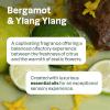 image:imageATTITUDE Volumizing Shampoo Refill Petitgrain and Jasmine EWG Verified with Essential Oils Vegan amp PlantBased For Thin and Flat Hair 676 Fl OzBergamot  Ylang Ylang