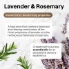 image:imageBundle of ATTITUDE Dish Soap EWG Certified Plant and MineralBased Ingredients Vegan Lavender and Rosemary Refillable Aluminum Bottle 16 Fl Oz  Bulk Refill 676 Fl Oz