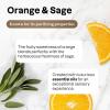 image:imageBundle of ATTITUDE MultiPurpose Cleaner EWG Verified Plant and MineralBased Ingredients Vegan and Crueltyfree Refillable Aluminum Bottle Orange and Sage 16 Fl Oz  Bulk Refill 676 Fl Oz